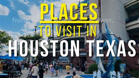 best spots in houston|More.